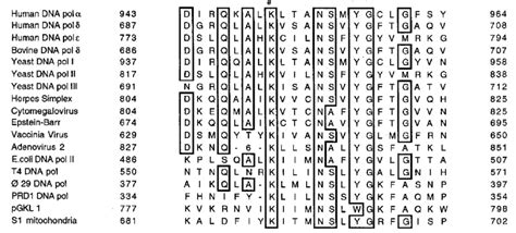 Image result for Conserved Sequence