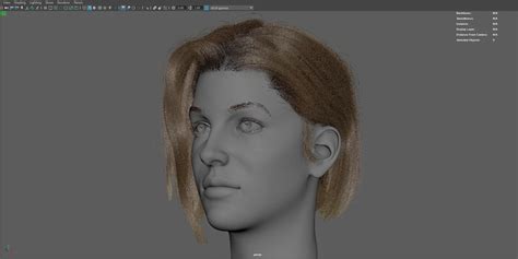Image result for Simple XGen Hair Tutorial