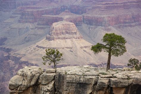 Grand Canyon National Park--Day 1