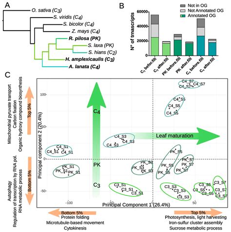 Transcriptome TreeMap 的图像结果