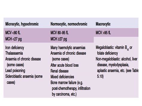 Normocytic Normochromic Anemias Causes, Symptoms And, 42% OFF
