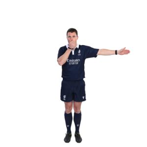 Image result for Rugby Referee Hand Signals