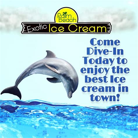 PALM BEACH EXOTIC ICE CREAM & ICES, Friendswood - Restaurant Reviews ...
