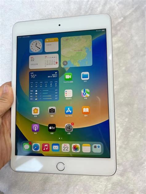 iPadOS 16 on iPad Mini 5 | Typical Apple !!