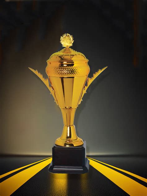 Corporate Trophy Manufacturer, Corporate Trophy Supplier Shop in Delhi ...