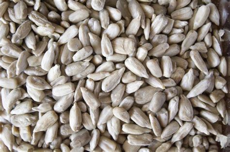 Image result for How Do They Shell Sunflower Seeds