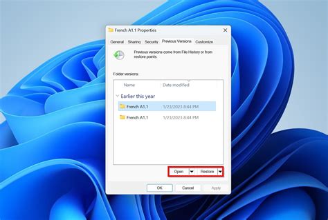 Restore My Files Data Recovery 的图像结果