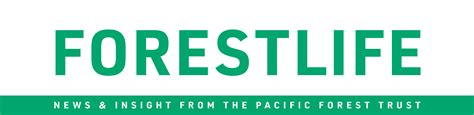 President's Letter Winter 2025 - Pacific Forest Trust