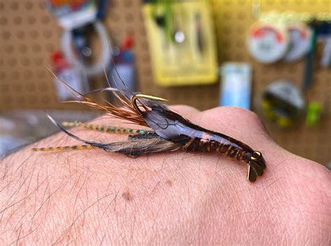 Image result for The Crayfish Fly Pattern Tutorial