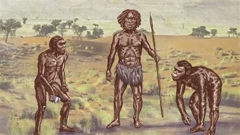 How Were Humans Formed 的图像结果