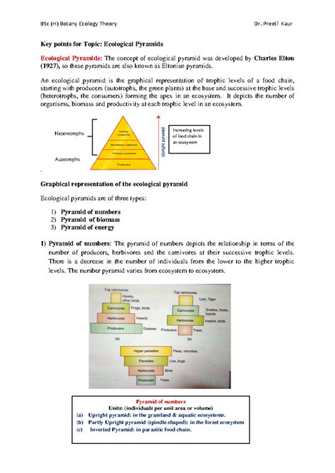 Ecological Pyramids in Ecosystems - BSc (H) Botany Ecology Theory - Studocu