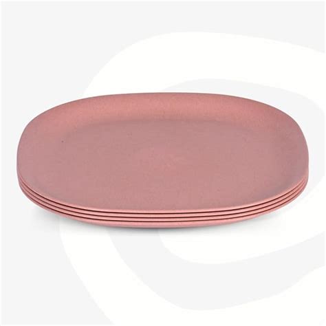Buy Eha Set of 4 Earth-Friendly Square Dinner Plates |11 inch ...