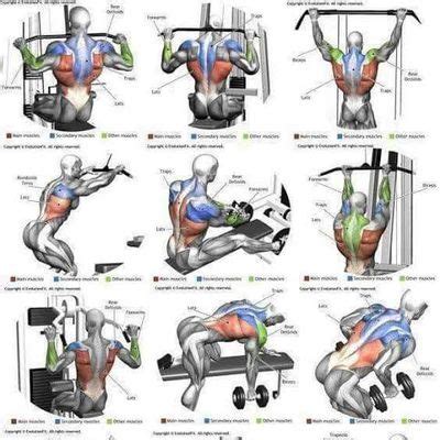 Back Exercise Machine Drawing 的图像结果