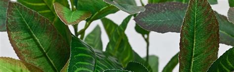 Buy Blooming Floret Artificial Croton Plant | 50.8 cm Tall with 92 ...