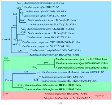 Phylogenetic and Morphological Evidence Reveal Five New Species of ...