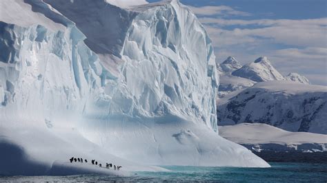 Documentary Human Behavior 的图像结果