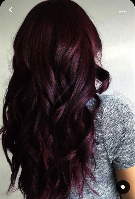 Black cherry hair color 14 other cherry color ideas 73 photos – Artofit