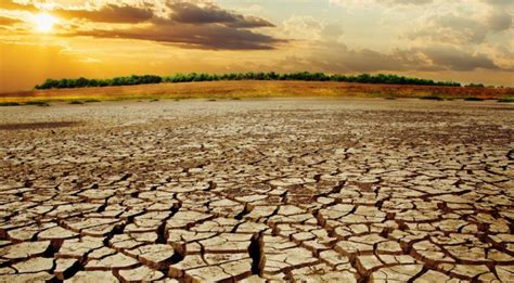 Floods, Drought, Heat, Fire -- Climate Change is Here! | NewsClick
