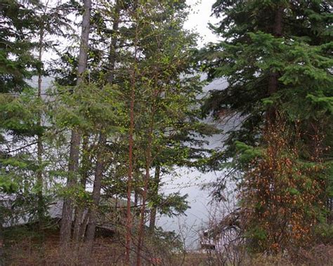 THE BEST Places to Visit in Heffley Creek (2026)