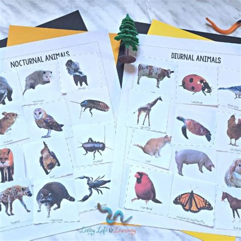 Image result for What Is an Embedded System Computer Science