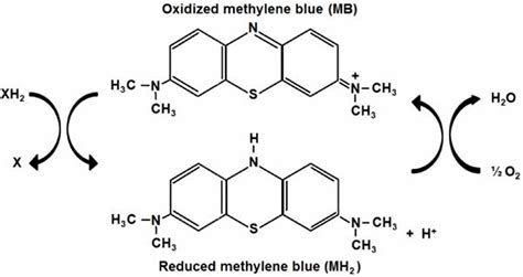 Blue H2O2 的图像结果