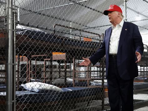 'Alligator Alcatraz' inmates swarmed by bugs 'the size of hands'