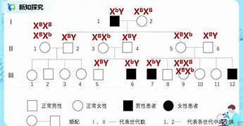 Image result for heredity 遗传，遗传性