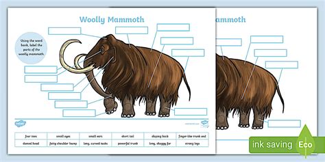 Woolly Mammoth Labelling Activity - KS2 - Prehistoric Beasts