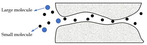 A Review on the Morphology and Material Properties of the Gas ...