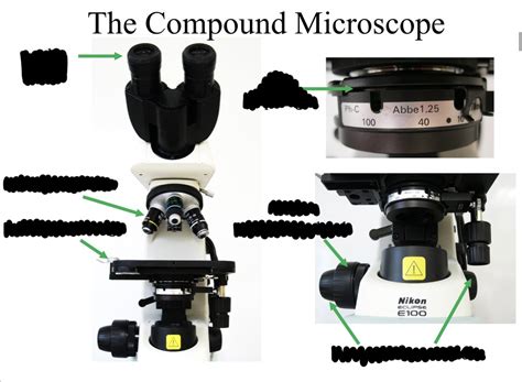 Image result for Compound Microscope Mirror