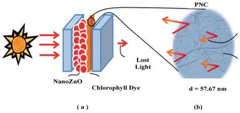 Effect of Plant Nanocellulose Electrolyte, Zinc Oxide Nanoparticles ...