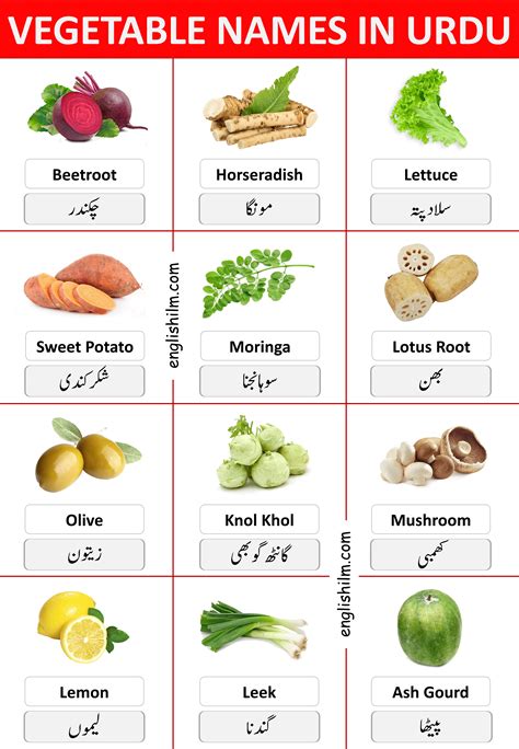 48 Vegetable Names In English with Urdu Meanings and Images