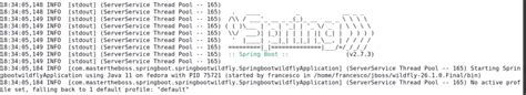 Image result for WildFly Vs. Spring Boot