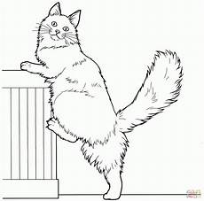 malvorlagen zum ausdrucken katzen ausmalbilder katzen malvorlagen kostenlos zum ausdrucken malvorlagen zum ausdrucken katzen ausmalbilder katzen malvorlagen kostenlos zum ausdrucken