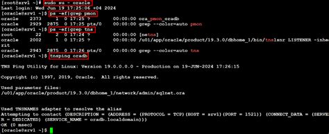 Image result for SQL Developer for Windows