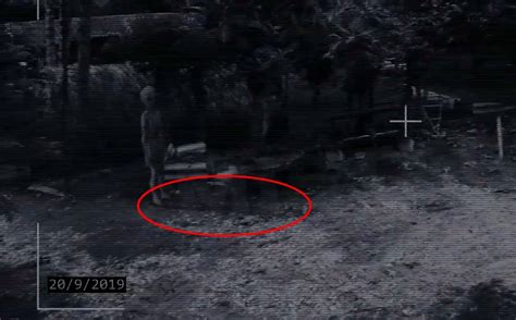 Image result for Alien Seen On Surveillance