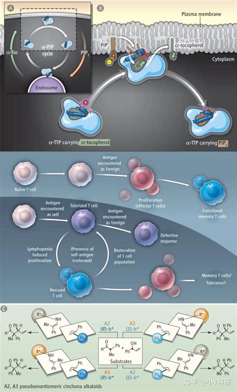 医学 的图像结果