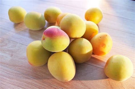 Image result for Fuctions of Algorithm