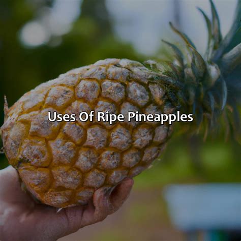 What Color Is A Ripe Pineapple - colorscombo.com