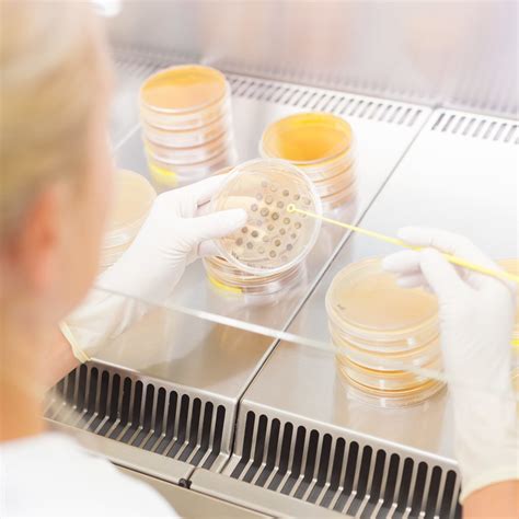 Islet-on-a-chip: miniature device for diabetes research