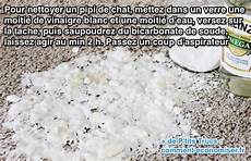 nettoyer pipi de chat l astuce pour nettoyer un pipi de chat facilement nettoyer pipi de chat l astuce pour nettoyer un pipi de chat facilement
