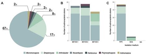 Diversity and Bioactive Potential of Actinobacteria Isolated from a ...