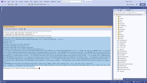 InVesalius Tutorial 的图像结果