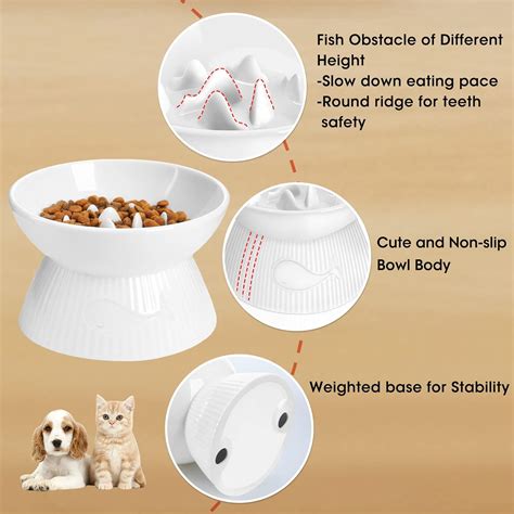 Buy Kopmath Raised Cat Slow Feeder, Ceramic Slow Feeder Cat Bowl ...