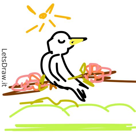 How to Draw a Spring 的图像结果