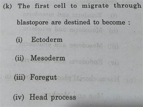 (k) The first cell to migrate through blastopore are destined to become