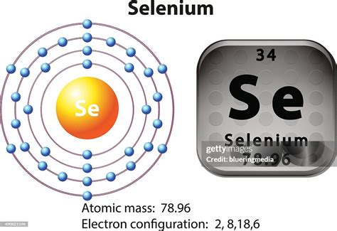 Image result for Selenium Java Symbol