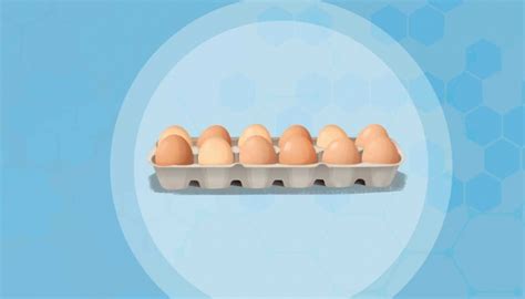 春分立蛋有什么说法 立蛋的原理 - 天奇生活