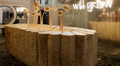 The Mush Room | WeWantMore Design Studio