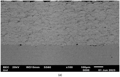 A Comparative Study between a Thermal Spray CoCrFeMnNi0.8V/WC-Co High ...